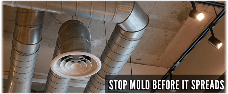 Air Duct Mold Removal in Pearland