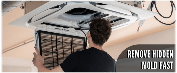 HVAC Mold Removal Pearland